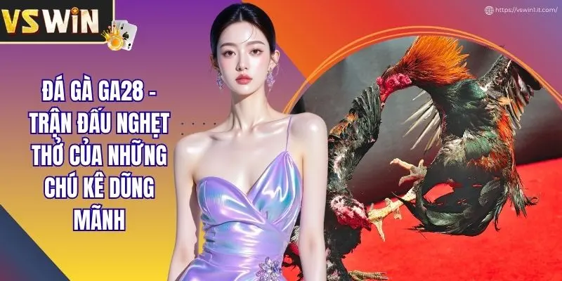 Đá Gà GA28 - Trận Đấu Nghẹt Thở Của Những Chú Kê Dũng Mãnh