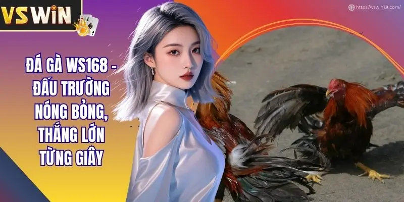 Đá Gà WS168 - Đấu Trường Nóng Bỏng, Thắng Lớn Từng Giây
