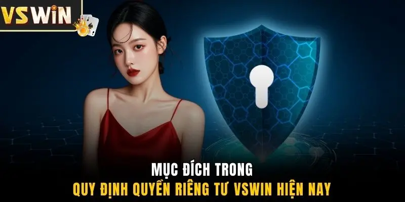 Mục đích trong quy định quyền riêng tư VSWIN hiện nay