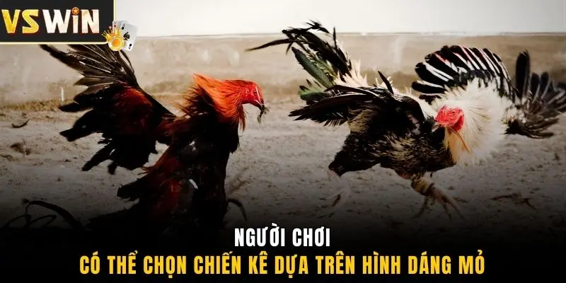 Người chơi có thể chọn chiến kê dựa trên hình dáng mỏ